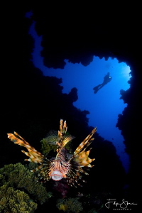 "The Lioncave", Dahab, Egypt. by Filip Staes 